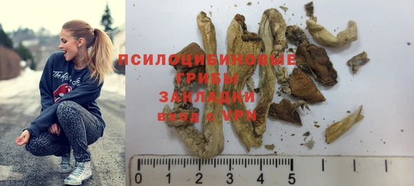 спиды Покачи