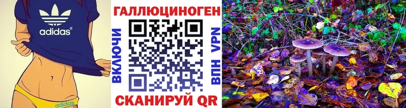 Галлюциногенные грибы мухоморы Великий Новгород